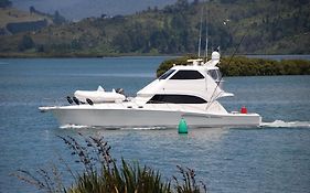 Tides Reach Whitianga